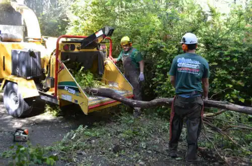 tree services Grayson